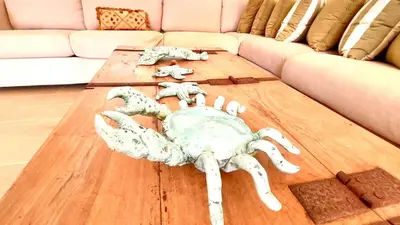 a crab on a coffee table in front of a couch at 3BR Hideaway Lux Villa With Pool & beach Access At Playa Encuentro, Cabarete in Cabarete