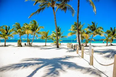a sandy beach with palm trees and the ocean at Apartamento Luxury Punta Cana in Punta Cana