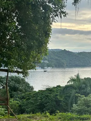 a boat in a body of water with trees at Hotel Porto Escondido in Santa Bárbara de Samaná