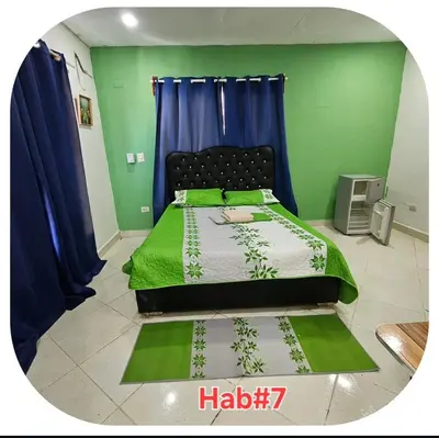 a bedroom with a bed with green walls and blue curtains at W&W Hotel in Las Terrenas