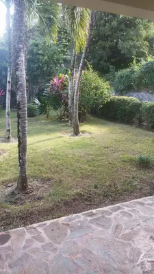 a garden with two palm trees and a stone path at Casa mar in Las Galeras
