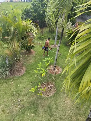 a man is standing next to a palm tree at Casa mar in Las Galeras