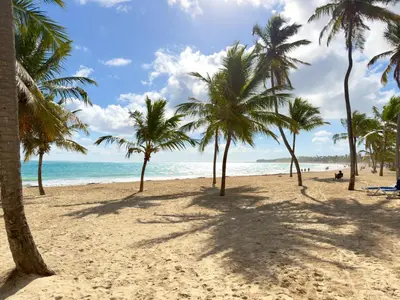 Gallery image of Lovely 2 BR Apt with private Pool, Fast Wi-Fi in Punta Cana