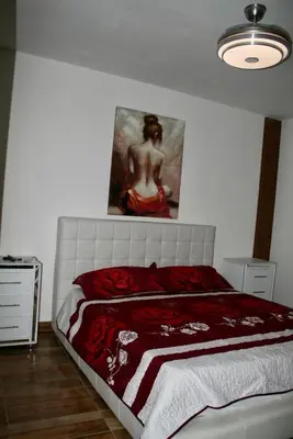 a bedroom with a bed and a painting on the wall at Villa lobos in Concepción de La Vega
