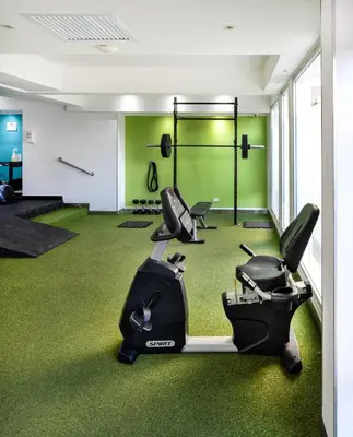 a gym with green carpet and exercise equipment at W&P Santo Domingo in Santo Domingo