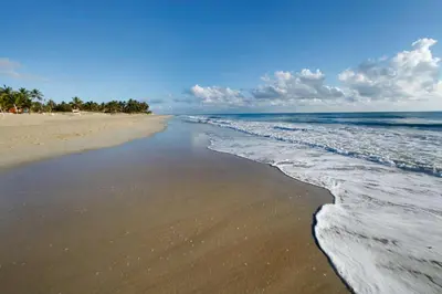 a beach with the water washing up on the sand at Viva Tangerine by Wyndham, A Trademark All Inclusive in Cabarete