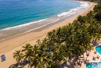 an aerial view of a beach with palm trees and the ocean at Viva Tangerine by Wyndham, A Trademark All Inclusive in Cabarete