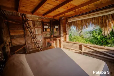 a room with a bed and a window with a ladder at Ecolodge Tubagua Puerto Plata in Tubagua