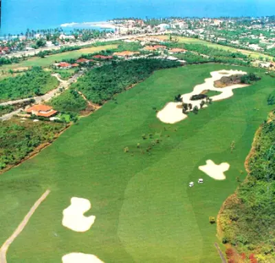 an aerial view of a large green field with animals on it at Villamorametro in Juan Dolio