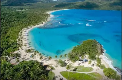 an aerial view of a beach with trees and blue water at Jasmine La Playita - Ocean Front in Las Galeras