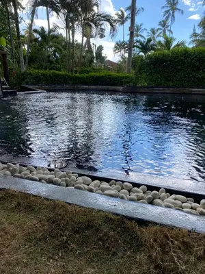 a pond in a yard with rocks around it at Casa Barbara in Las Terrenas