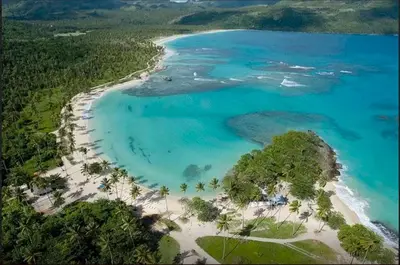 an aerial view of a beach with trees and blue water at Villa Diana in Las Galeras
