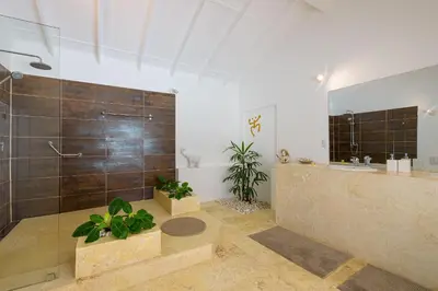 a bathroom with a shower and a sink at Adults-Only Hacienda Terra Taina in Las Terrenas