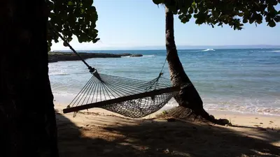 a hammock hanging from a tree on a beach at The Cove Apartments in El Francés