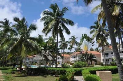a view of a resort with palm trees at The Cove Apartments in El Francés