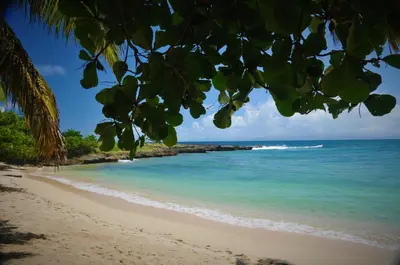 a beach with a view of the ocean at The Cove Apartments in El Francés