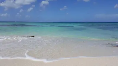 a beach with the ocean and a dog in the water at Appartamento Cadaques Bayahibe in Bayahibe