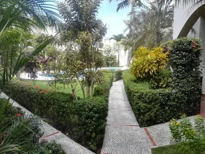 a walkway through a garden with plants and trees at Apartamento en Las Terrenas in Las Terrenas