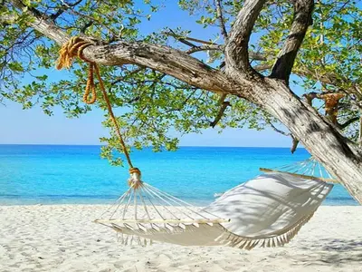 a hammock hanging from a tree on a beach at Eco Del Mar in Pedernales