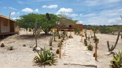 a group of cacti in the sand near a house at Eco Del Mar in Pedernales