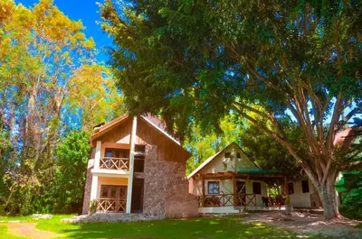 a small house with a tree in the yard at Hotel Rancho Constanza & Cabañas de la Montaña in Constanza