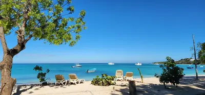 a beach with chairs and a tree and the ocean at Tropic ecolodge in Punta Rucia