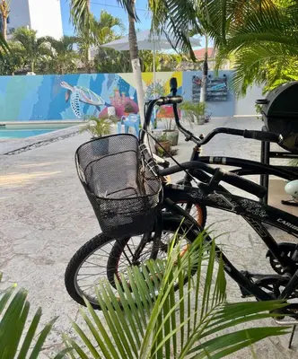 a bike with a basket parked next to a pool at B&B Villa Luna in Bayahibe