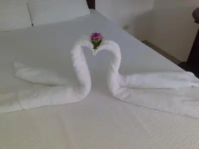 two swans made out of towels on a bed at La Ensenada Boutique Hotel in Punta Rucia