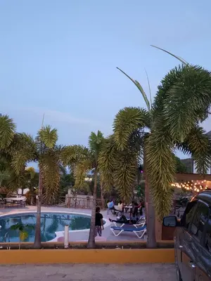 a pool with palm trees in a parking lot at La Ensenada Boutique Hotel in Punta Rucia