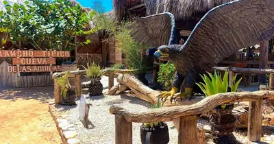 a statue of an eagle sitting on a log at Glamping EcoLodge Cueva De Las Aguilas in Pedernales