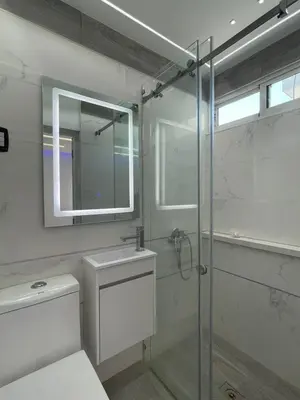 a bathroom with a shower and a toilet and a sink at Alegria Hostal in Santiago de los Caballeros
