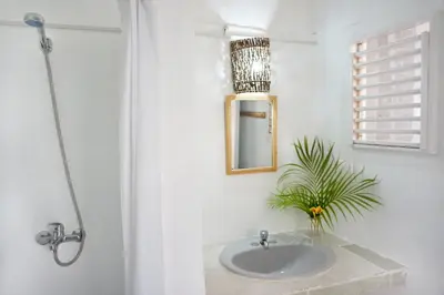 a bathroom with a sink and a mirror and a plant at Le BDM PLAYITA in Las Galeras