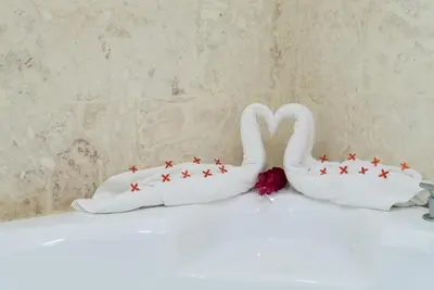 two swans with stars on their backs on a bed at 3BR / 3BA Modern Paradise Loft Condo in Gated Community w/ Daily Housekeeping in Sosúa