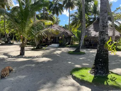 a dog laying on the sand in front of a resort at Playa Paraiso en Magante in La Yagua