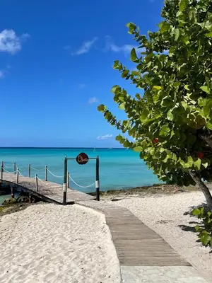 a wooden path on a beach with the ocean at 2BR 2BA Beachfront With View 71 in Bayahibe