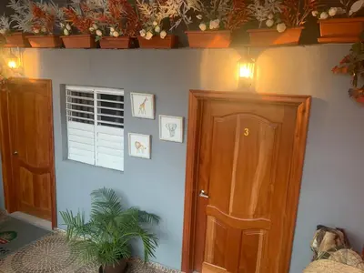 a room with a door and a window with plants at Hotel Cana Palma Zona Colonial in Santo Domingo