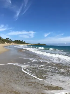 a beach with the ocean and a blue sky at Diamond Hotel Cabarete in Cabarete