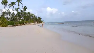 a beach with palm trees and a fire hydrant on it at Villa Florencia Bavaro in Punta Cana