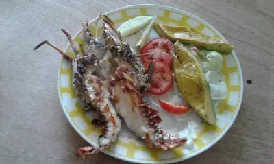 a plate of food with lobster and vegetables on a table at Hotel Pedernales Italia Republica Dominicana in Pedernales