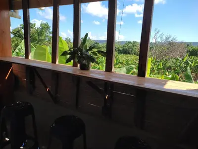 a potted plant sitting on a window sill at Hostel La Ballena Backpacker in Las Galeras