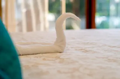 a white swan toy sitting on a table at Caribbean Diamond Boutique Hotel in Sosúa