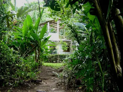 a house in the middle of a forest of plants at Ecotopía Park in El Hoyo del Cacao