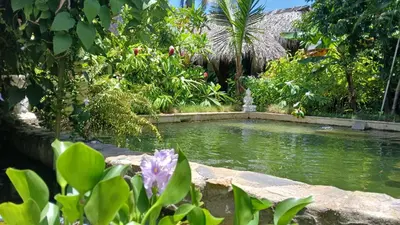 a pond in the middle of a garden with purple flowers at Casa Picaflor B&B in Las Terrenas