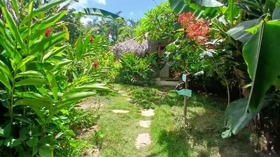 a garden in front of a house with plants at Casa Picaflor B&B in Las Terrenas