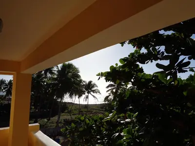 a view from the porch of a house with palm trees at La Cueva del Che in Juan Dolio