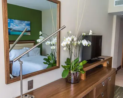 a bedroom with a mirror and a dresser with flowers at Hampton By Hilton Santo Domingo Airport in Boca Chica