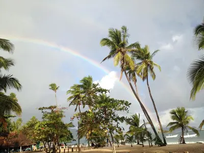 a rainbow over a beach with palm trees at Villa La Caleta in Las Galeras