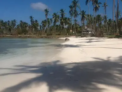 a sandy beach with palm trees and the ocean at Villa La Caleta in Las Galeras