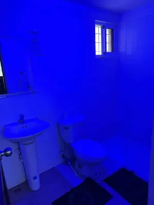 a blue bathroom with a toilet and a sink at Mar azul 401 in San Felipe de Puerto Plata