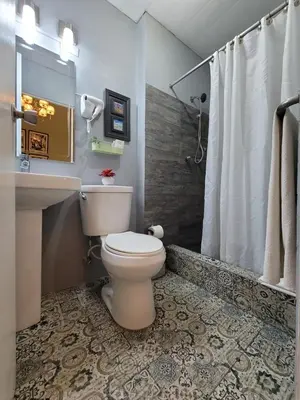 a bathroom with a toilet and a sink and a shower at Hotel Class Colonial in Santo Domingo